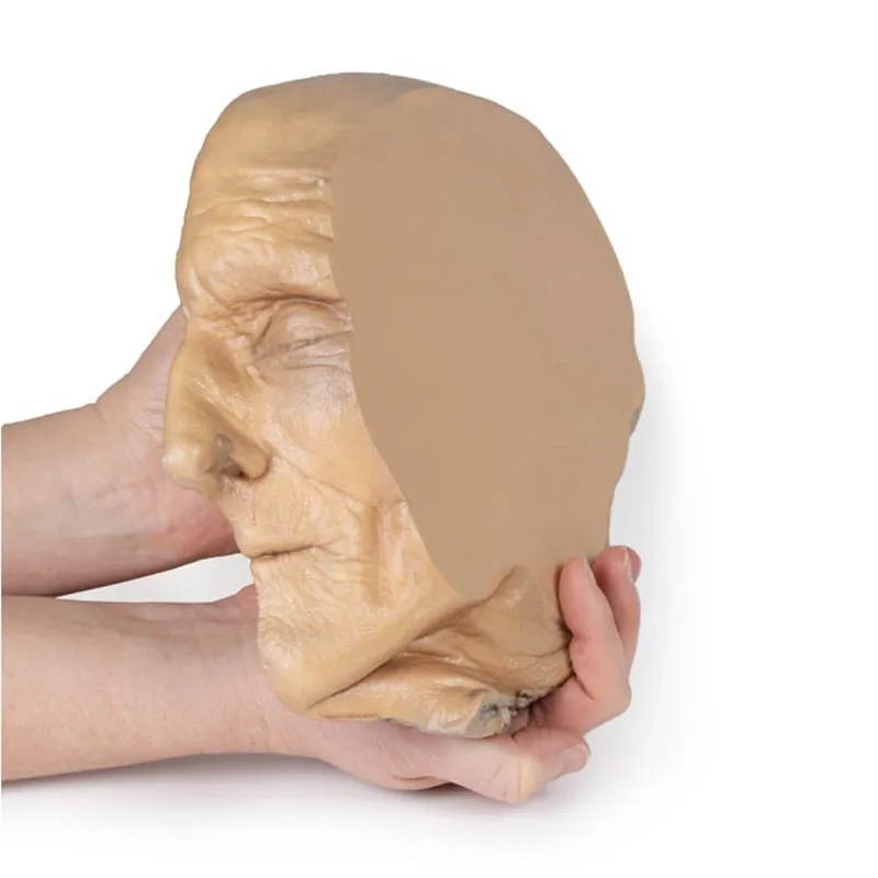 3D Printed Median Section Through Head Sagittal Section of Head with Deep Dissection