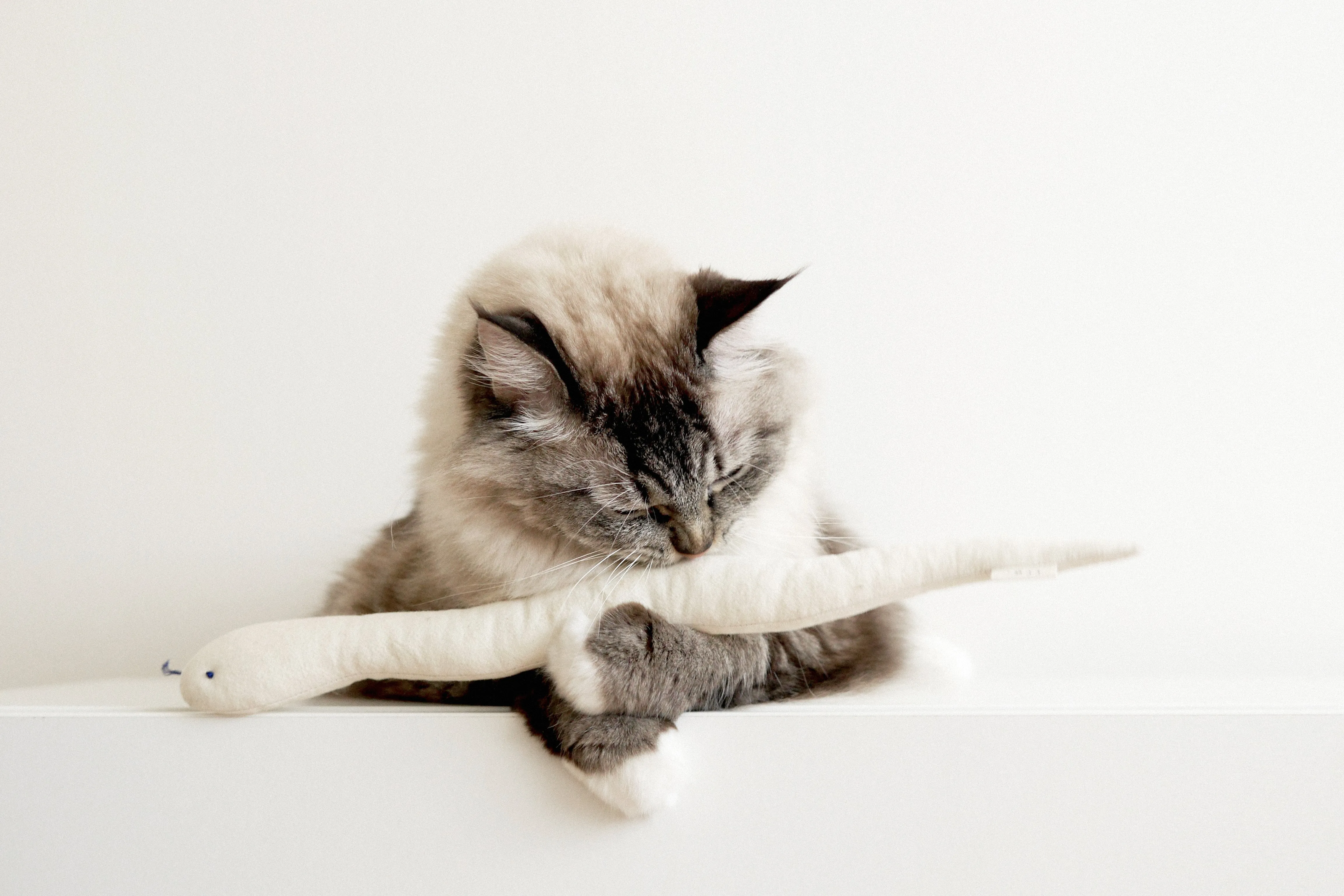 Bamdoll Catnip Toy