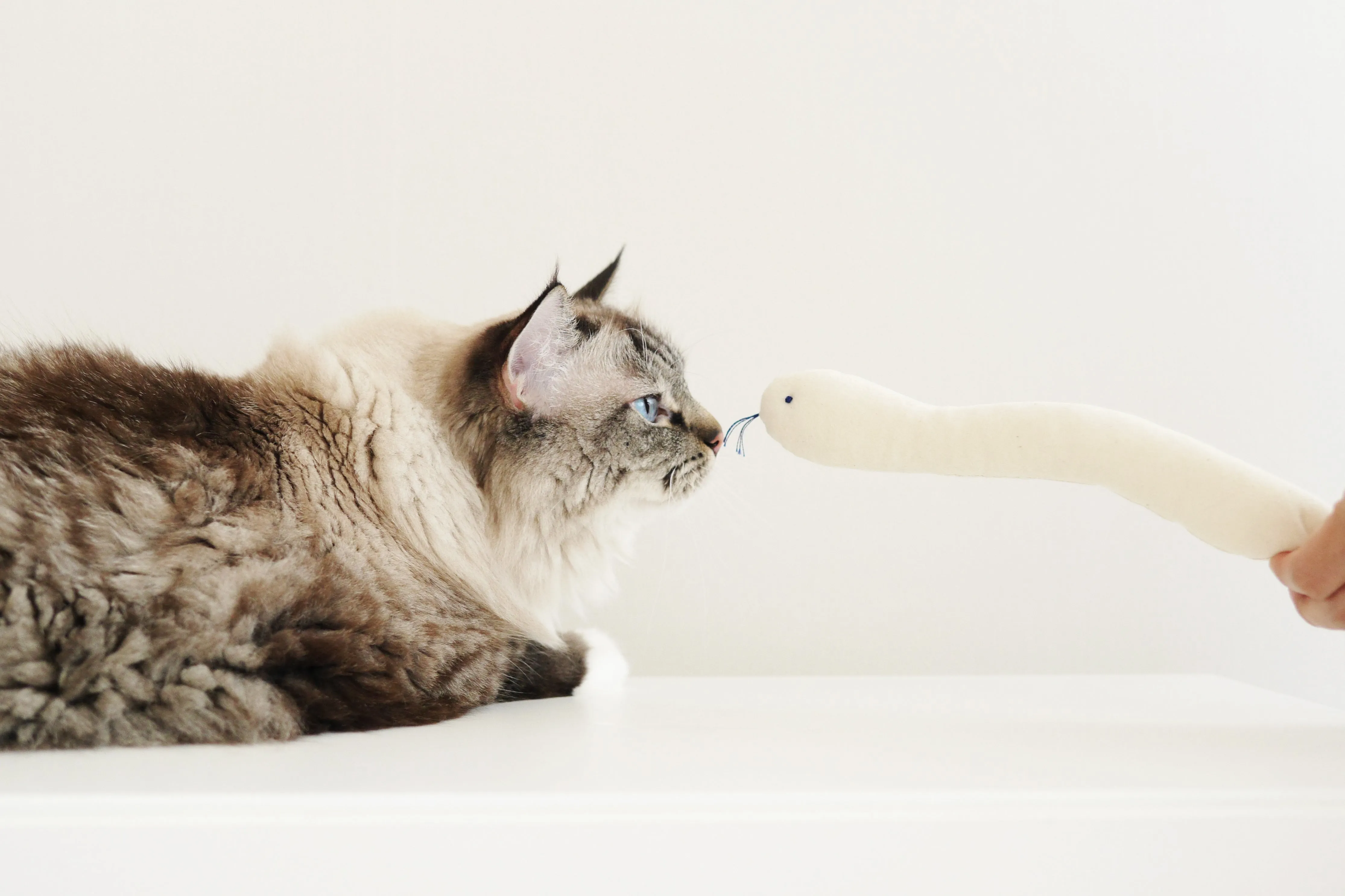 Bamdoll Catnip Toy