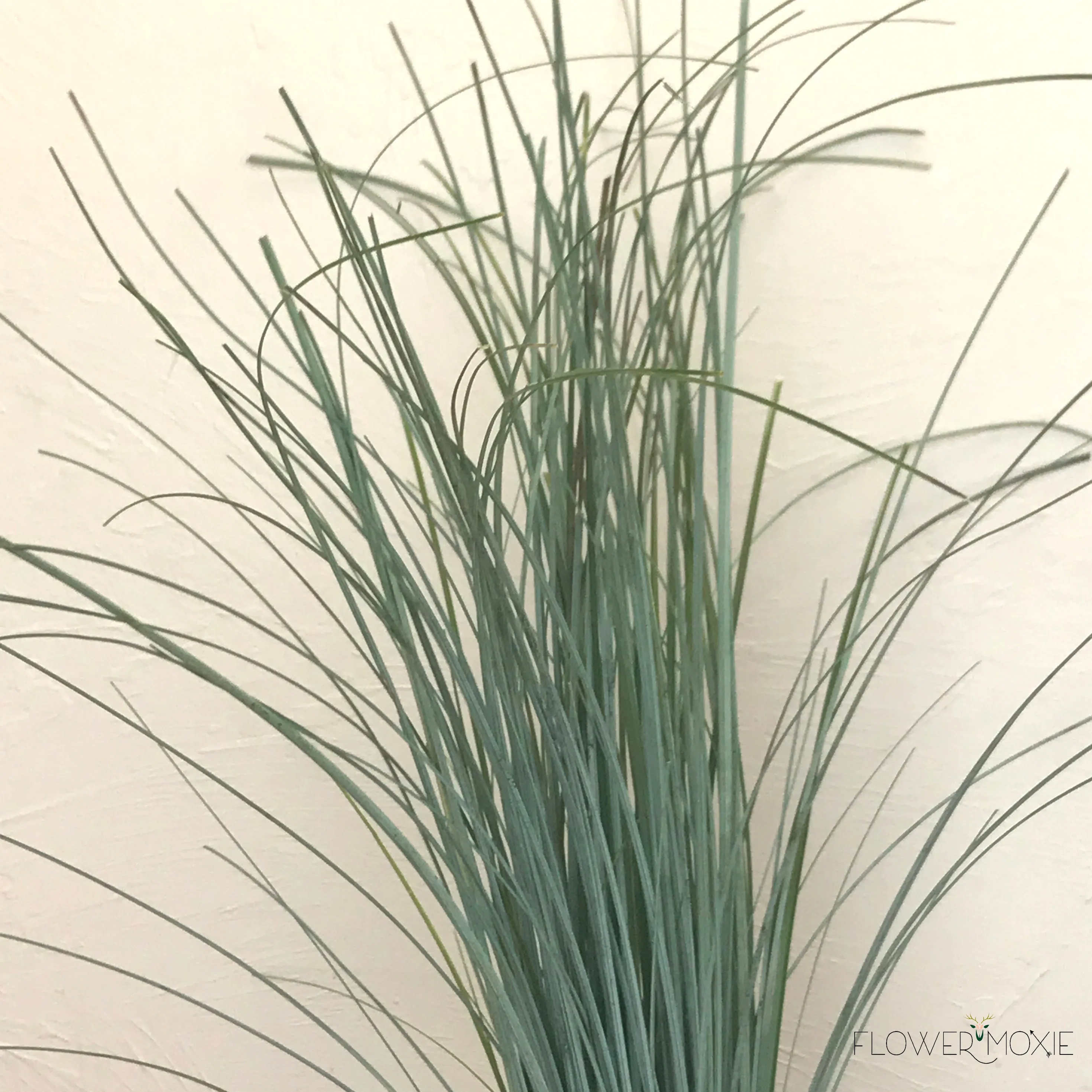 Bear Grass Greenery