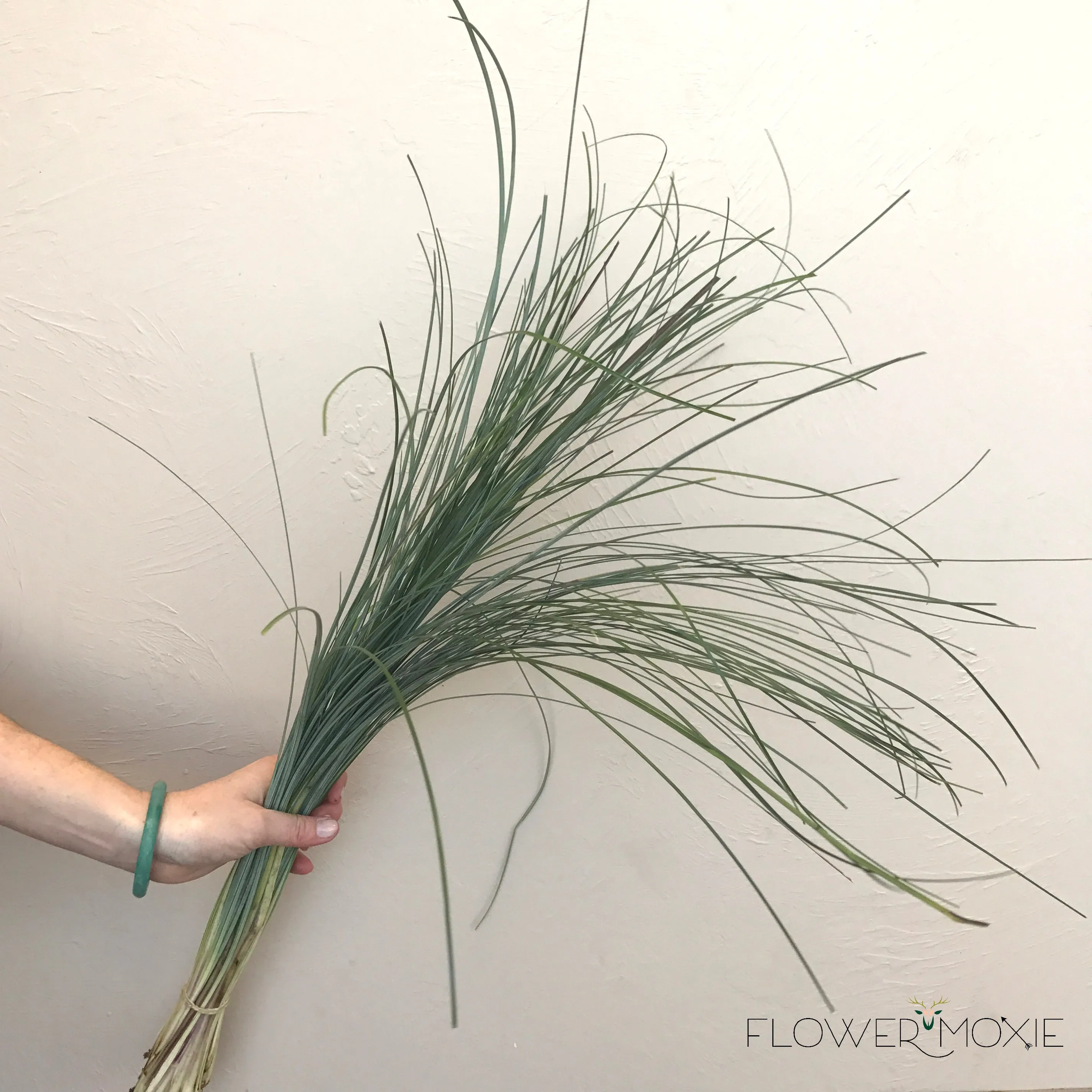 Bear Grass Greenery