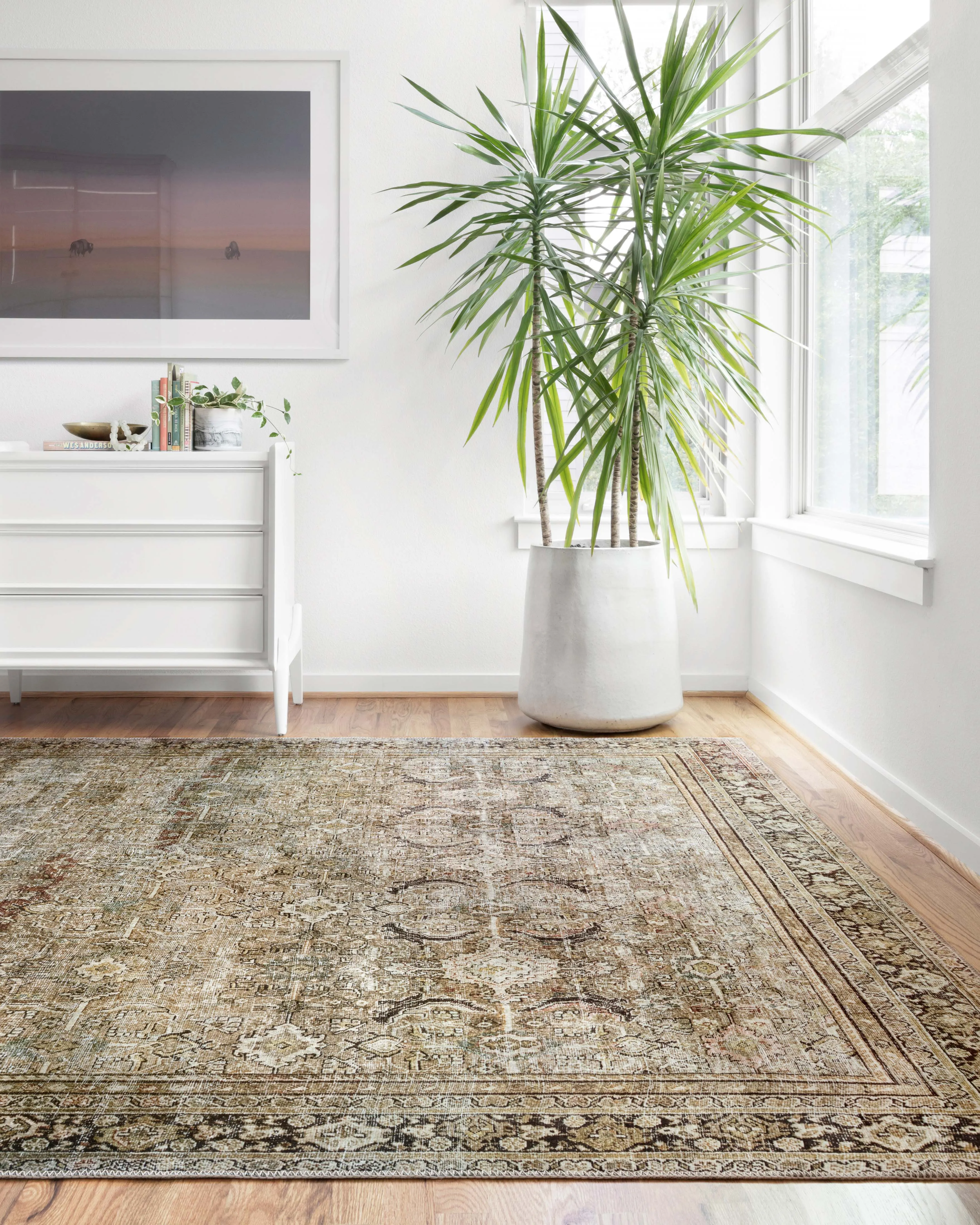 Layla Rug in Olive & Charcoal