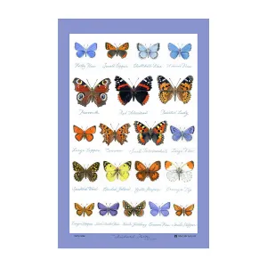 Tea Towel "Glencoe Butterflies"